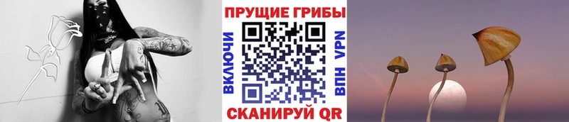 Псилоцибиновые грибы Magic Shrooms  Купить  Новодвинск 