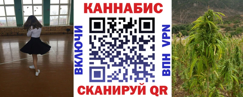 Купить где  Новодвинск  Конопля SATIVA & INDICA 